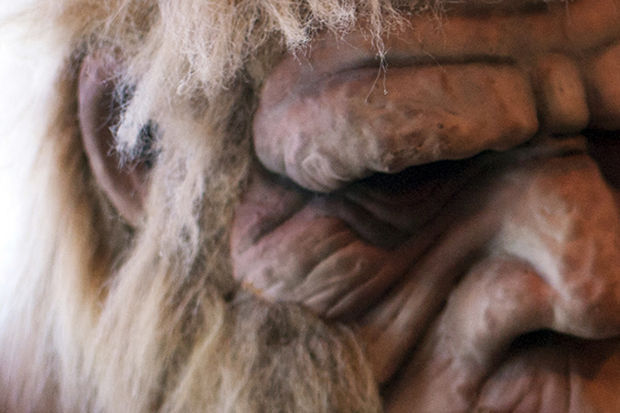 Big Muddy Monster | Murphysboro